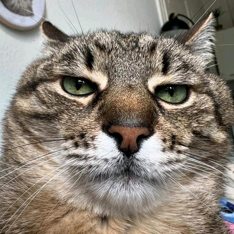 猛踹瘸子那条好腿