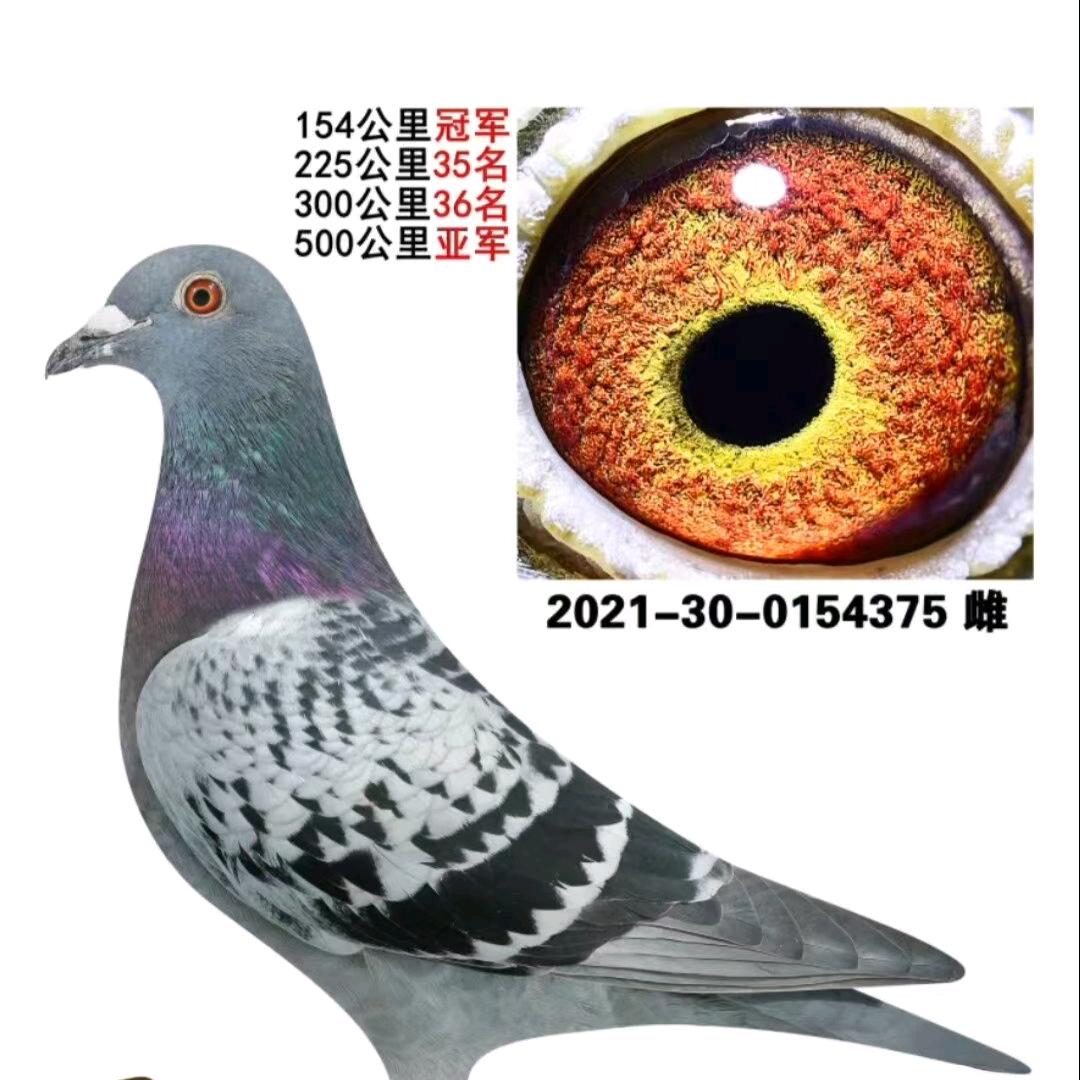 🚬᭄钱是英雄胆ঞৣঁ᭄
