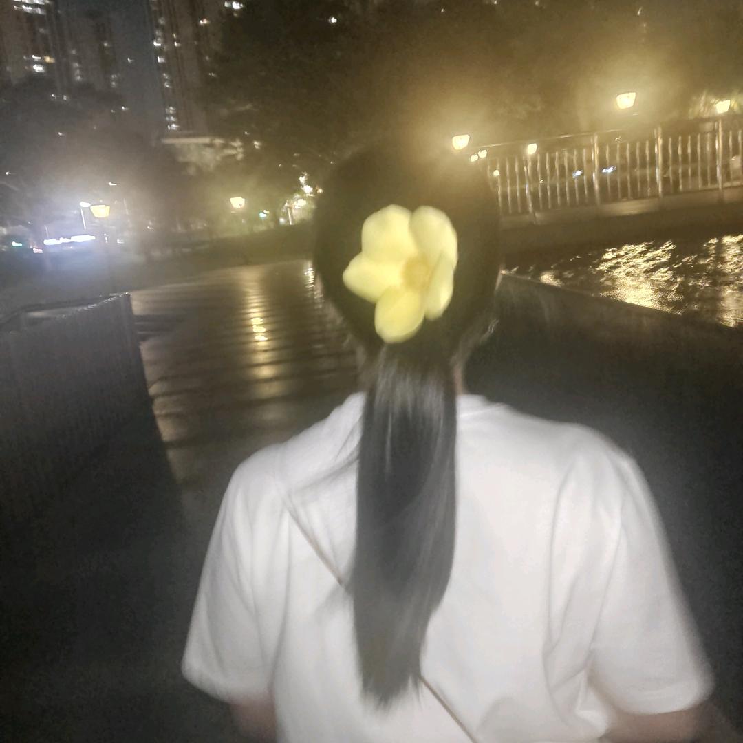 燕儿归来