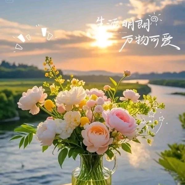 为荣誉而生  🇨🇳