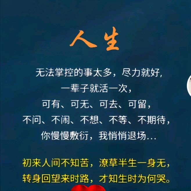 带刺的玫瑰ʕ ᵔᴥᵔ ʔ