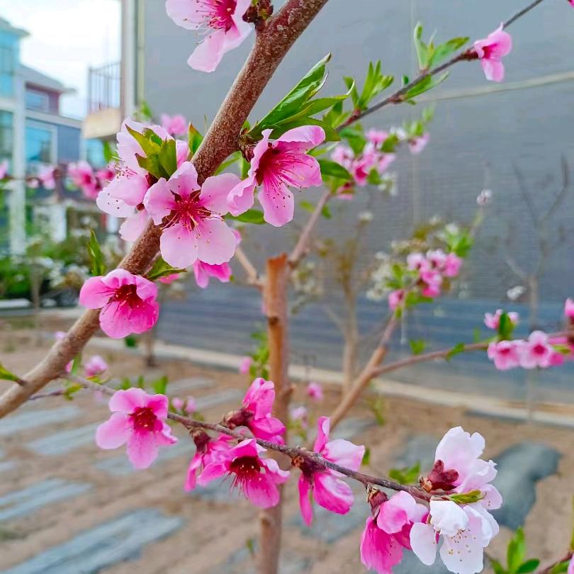 留住瞬间