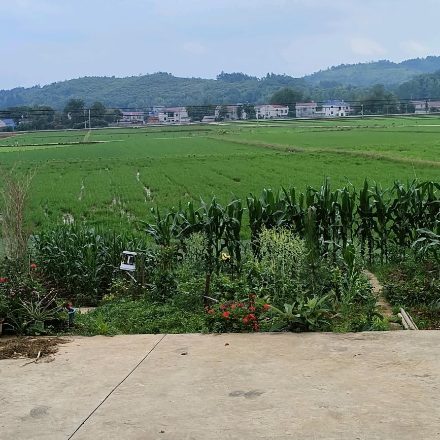 @邻居