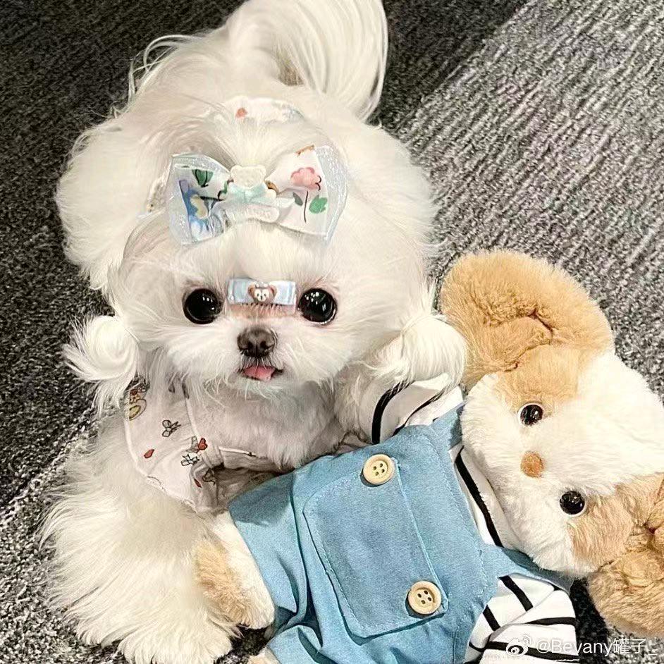 月夜🌙
