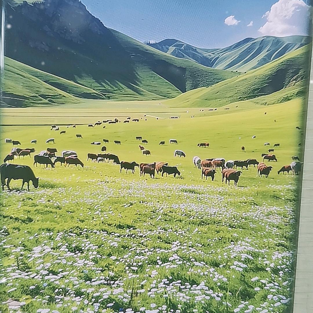 龙歌綉✈️
