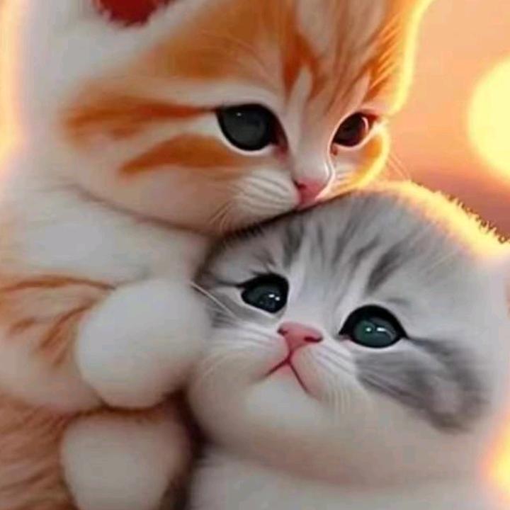 我不想丢下你。