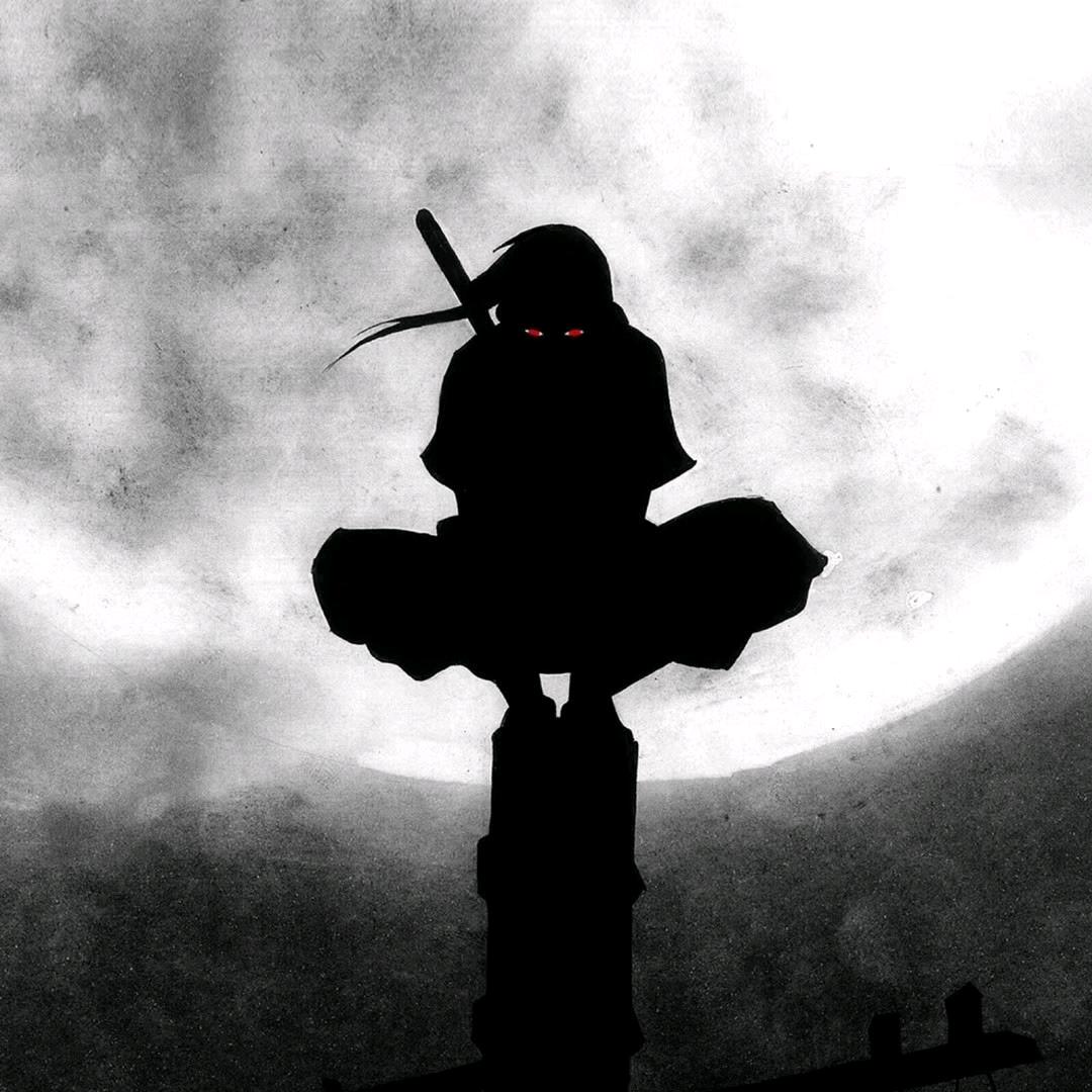 Komorebi.