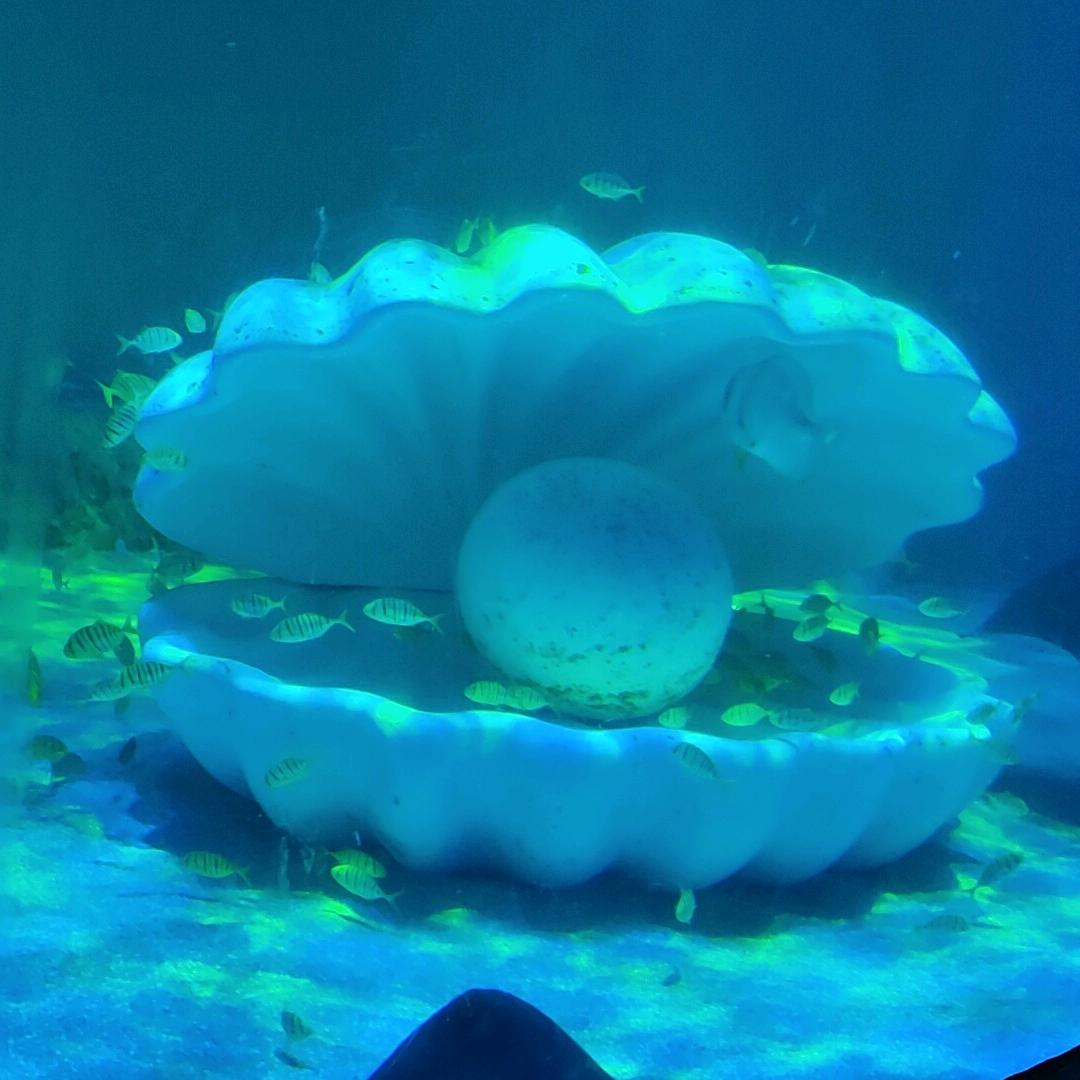 沉默不语