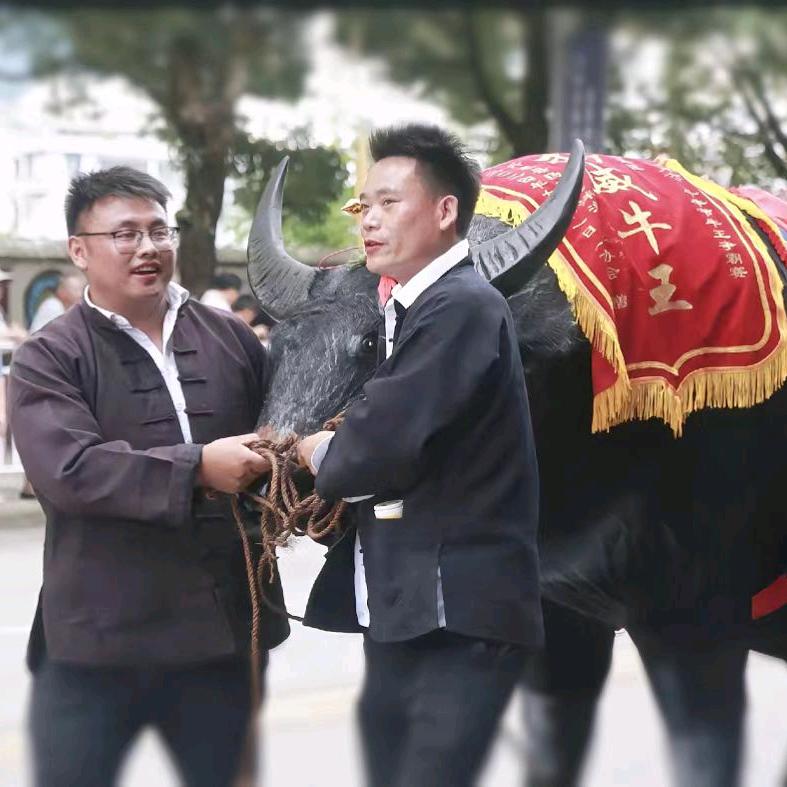 只为遇见你