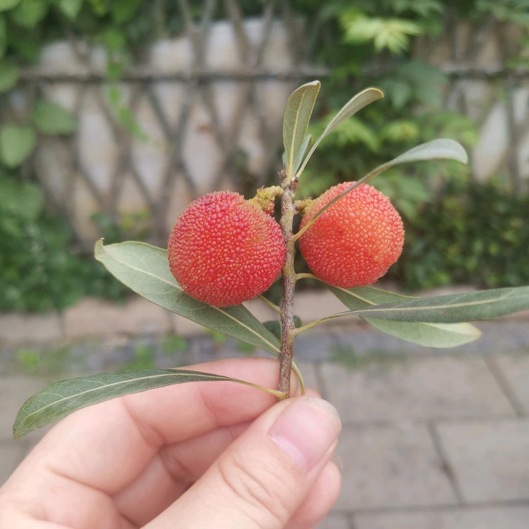 快乐的活着😜😜