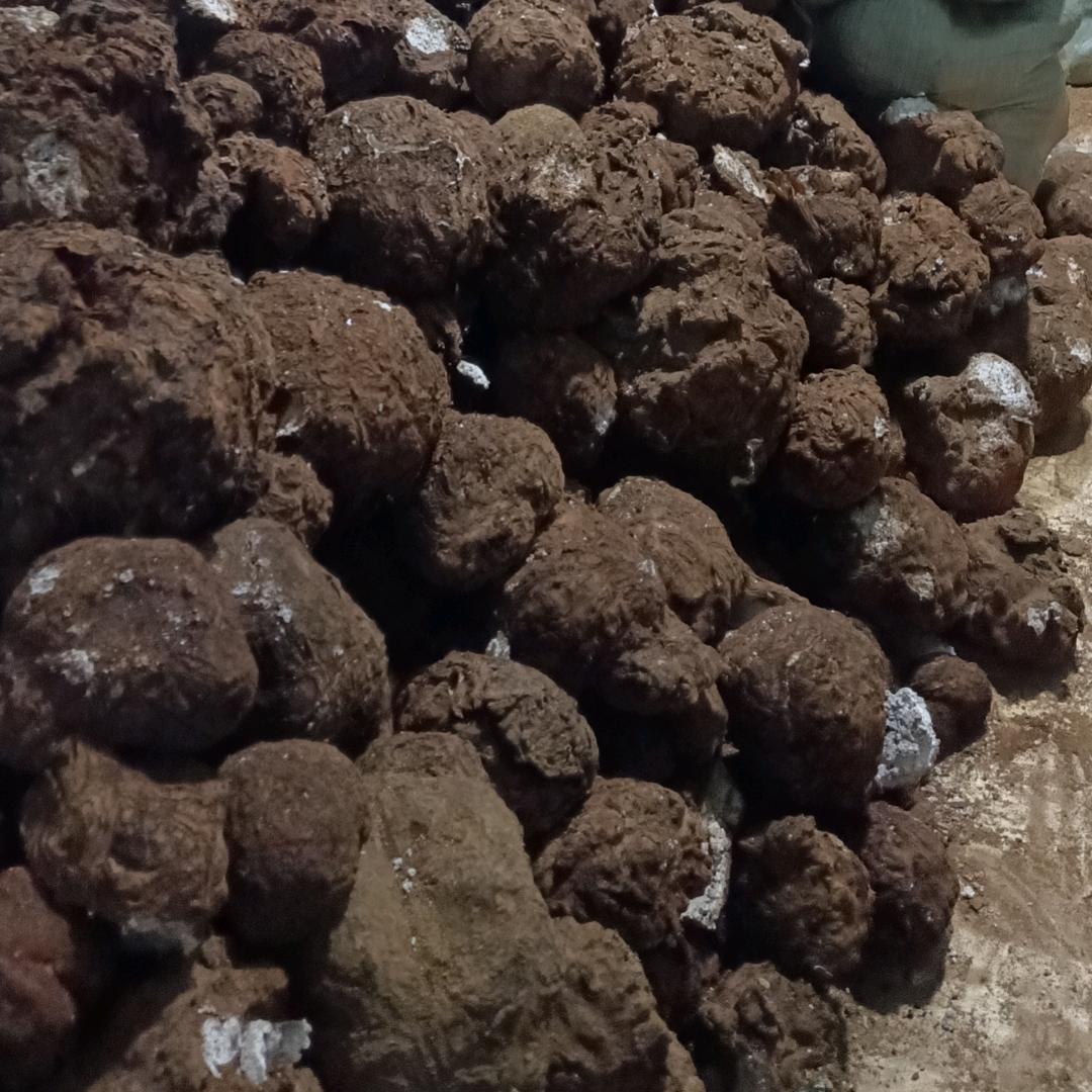 滇缅特产店1授权号