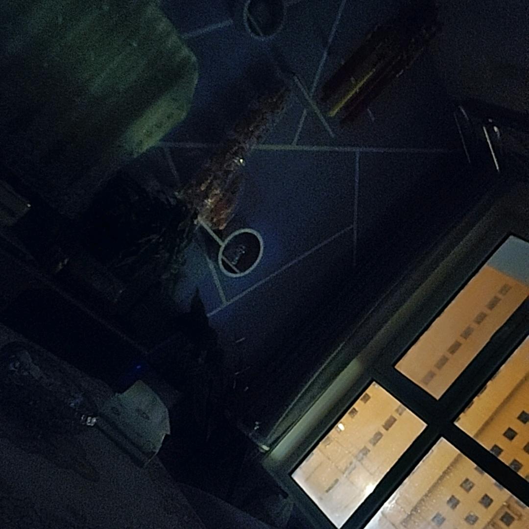 可想你