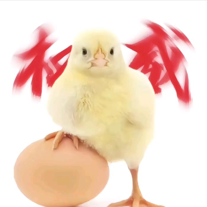 咕咕咕