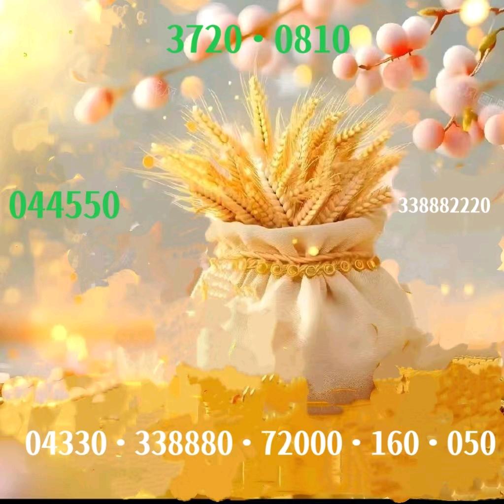 钟旺根