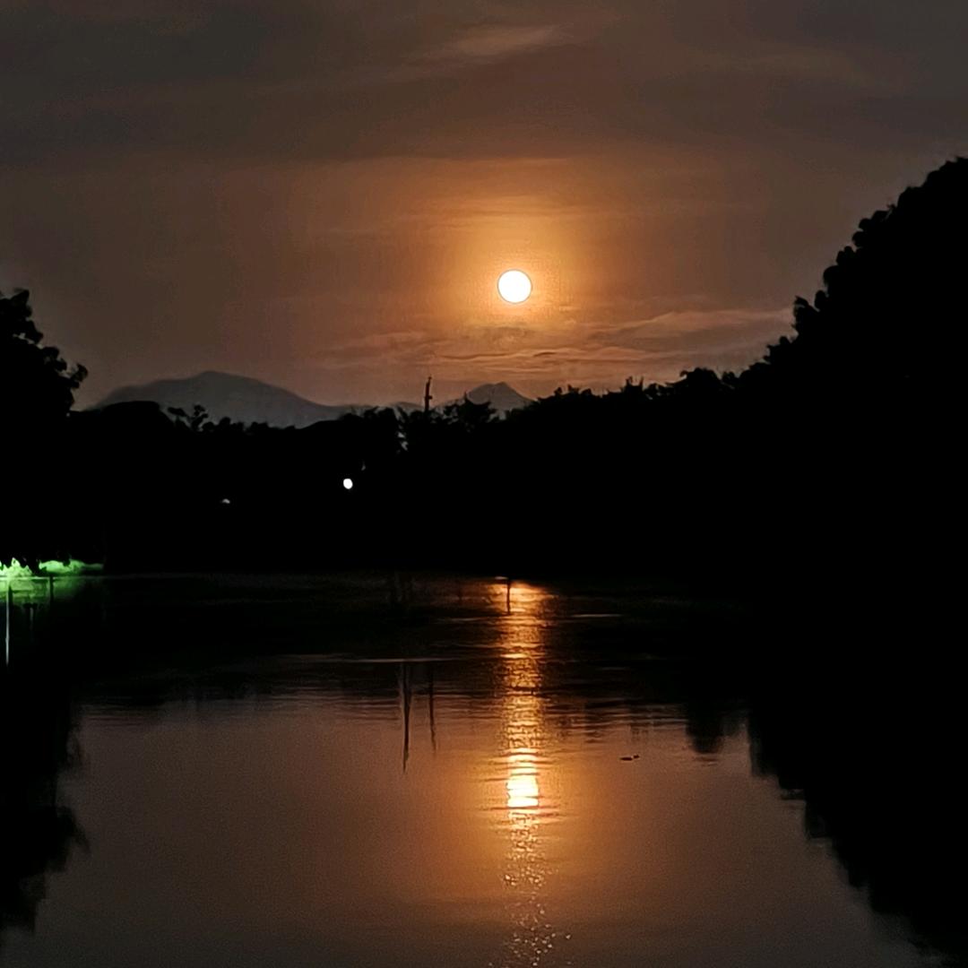 来吃茶，☕☕☕