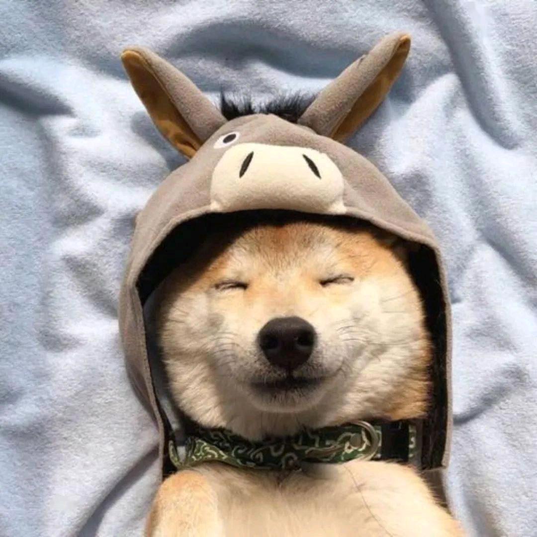 好伙伴生活超市叫我靓仔