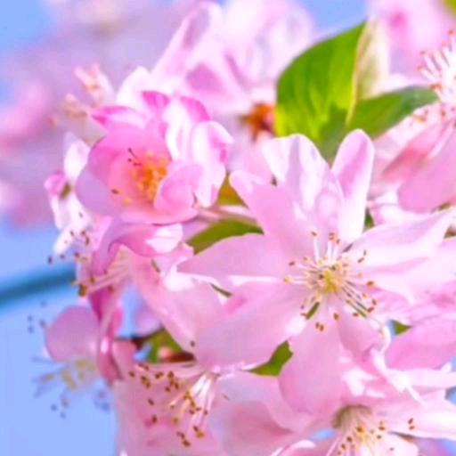 幸福有爱一家人