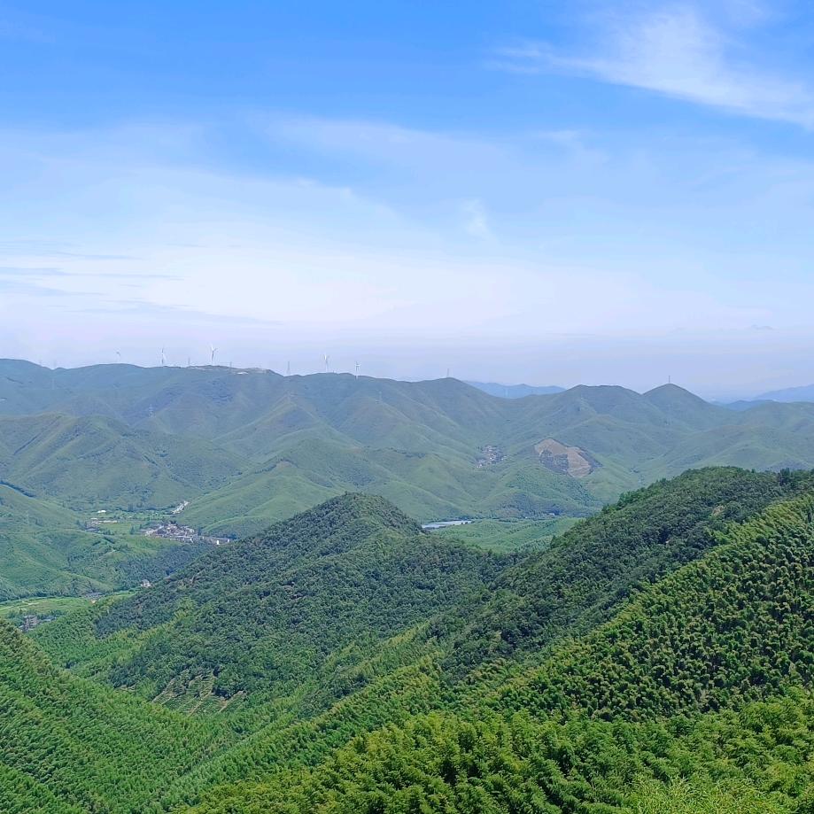 一路有梅
