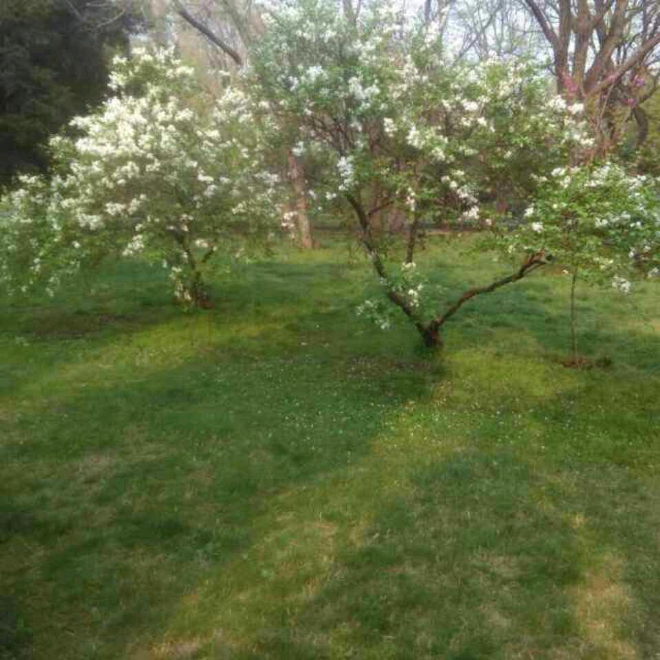 ღ᭄ꦿ飘雪᭄ꦿ໊ོﻬ°