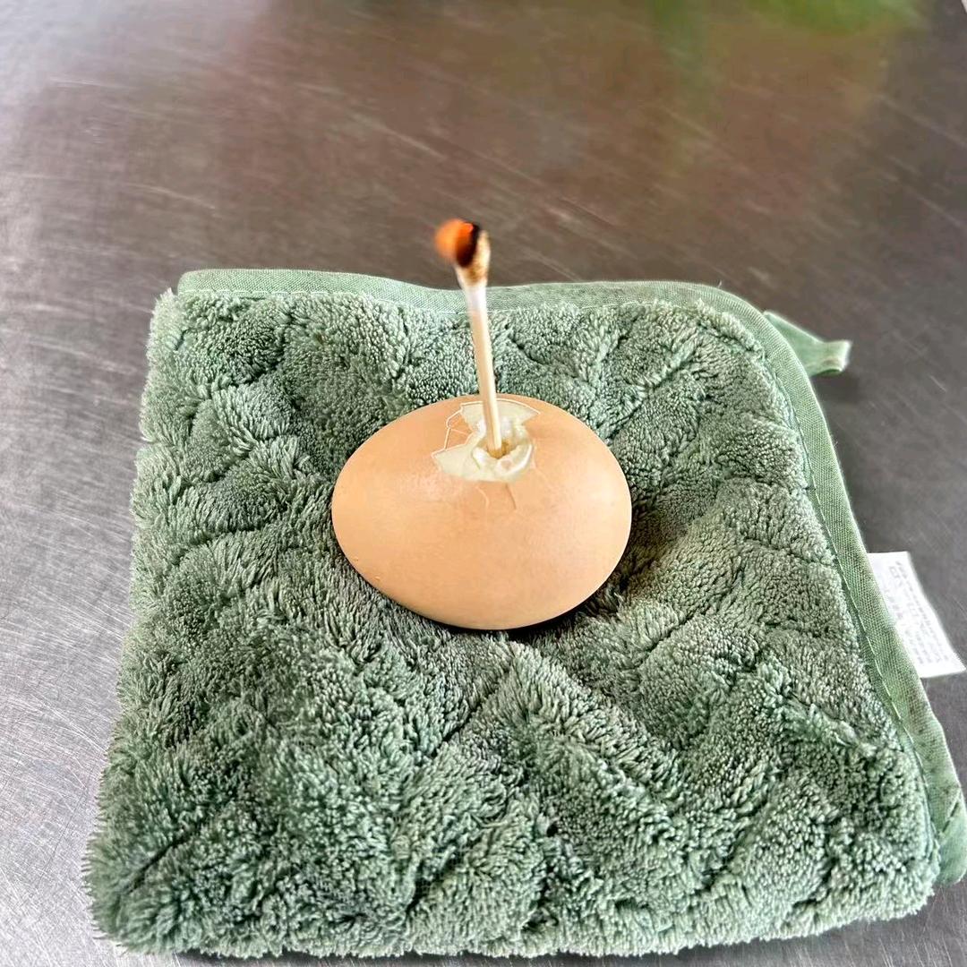 扬呵呵