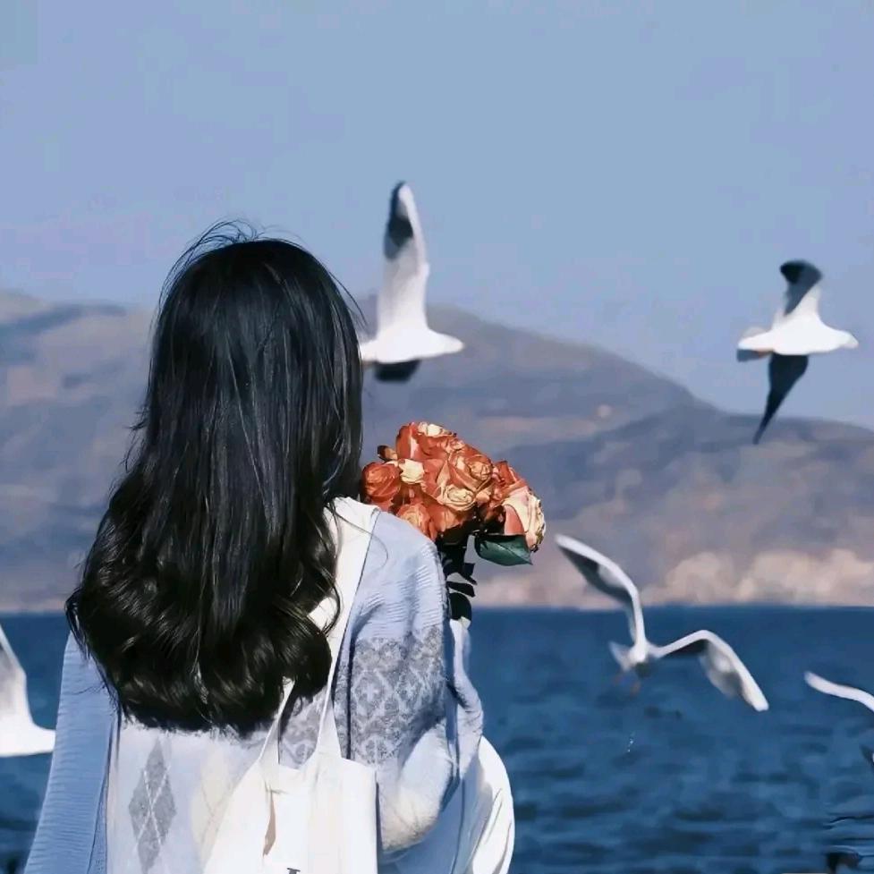 娇jiao🌸