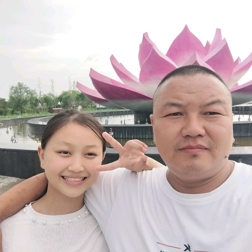 丁村北街挖机，，带炮锤，板车，铲车出租