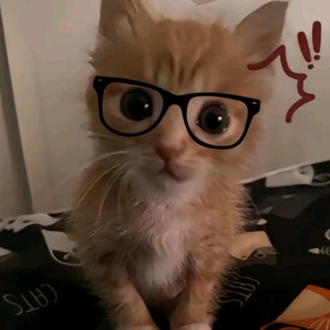 好运来好运来钱来