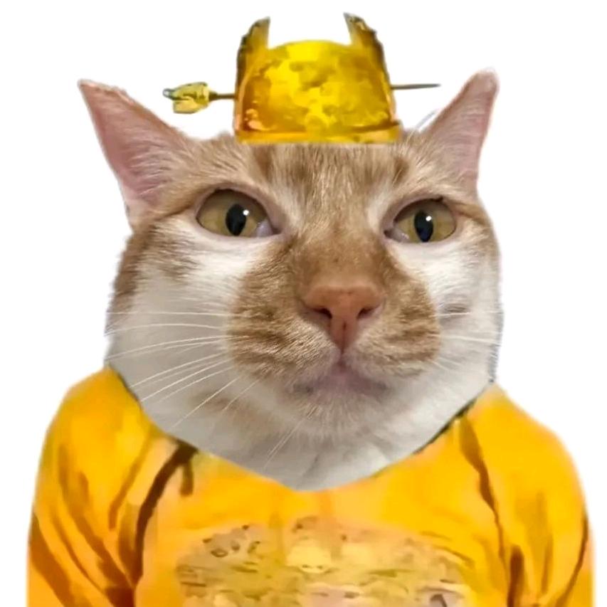 燊燊