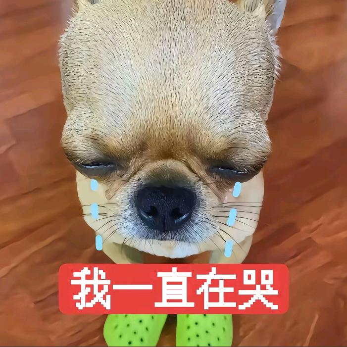 指望不上