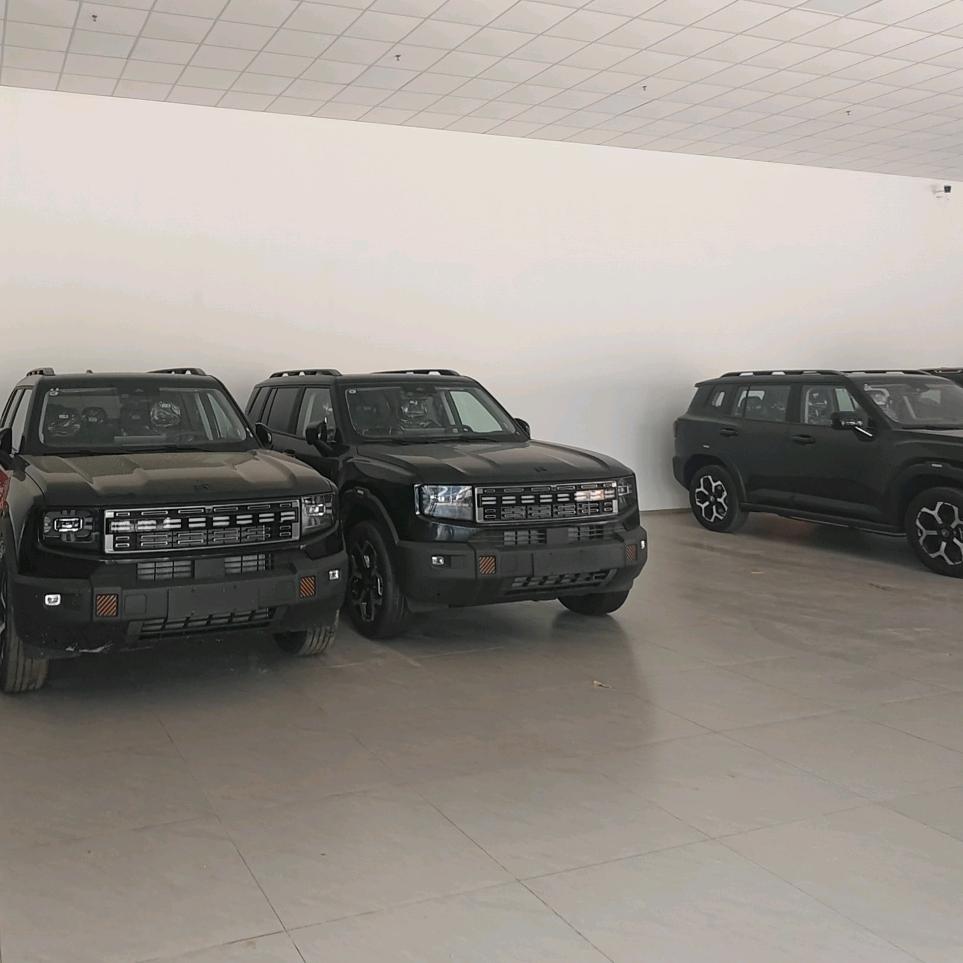 捷途山海-武汉东西湖泰枫底价车库阿臻