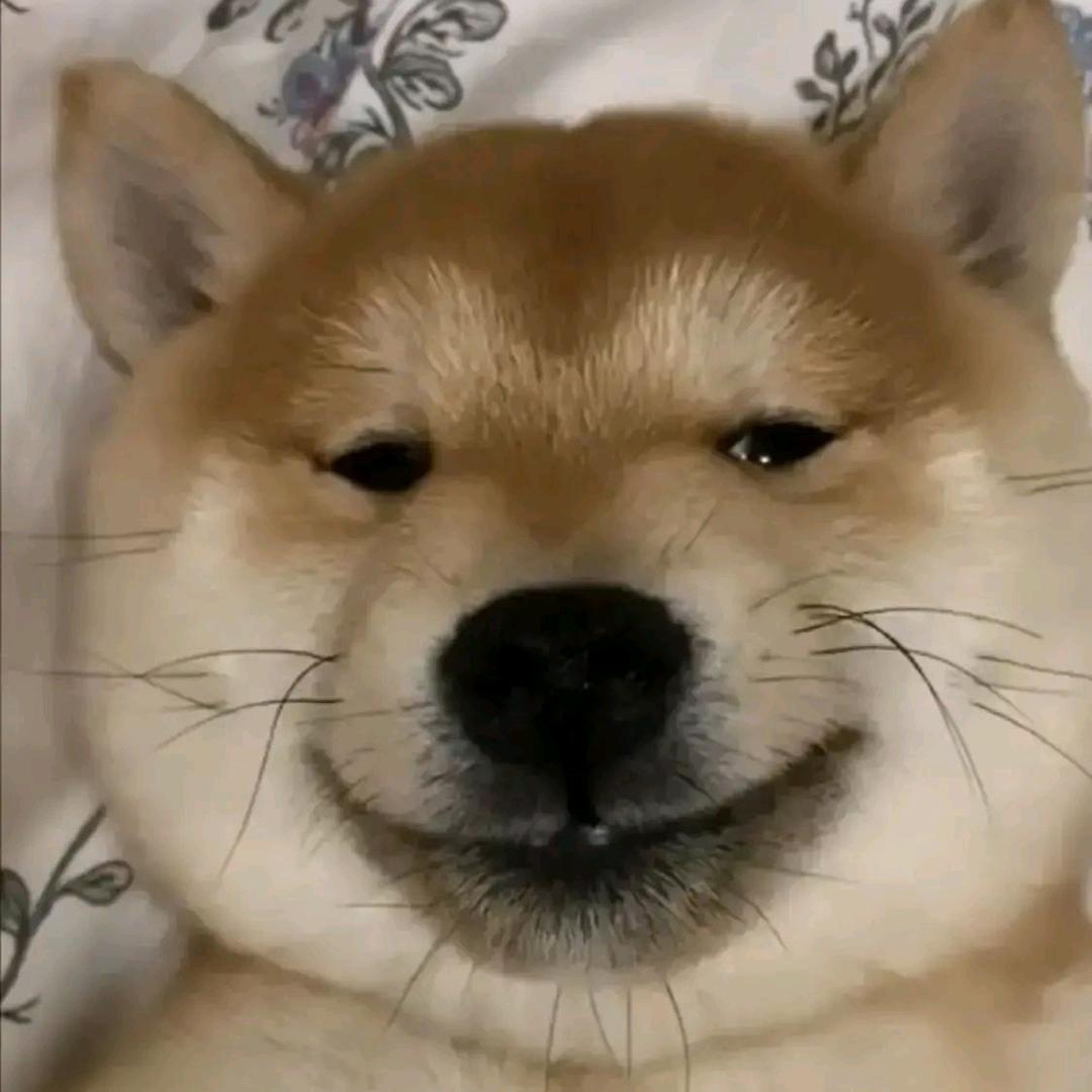 妍雁