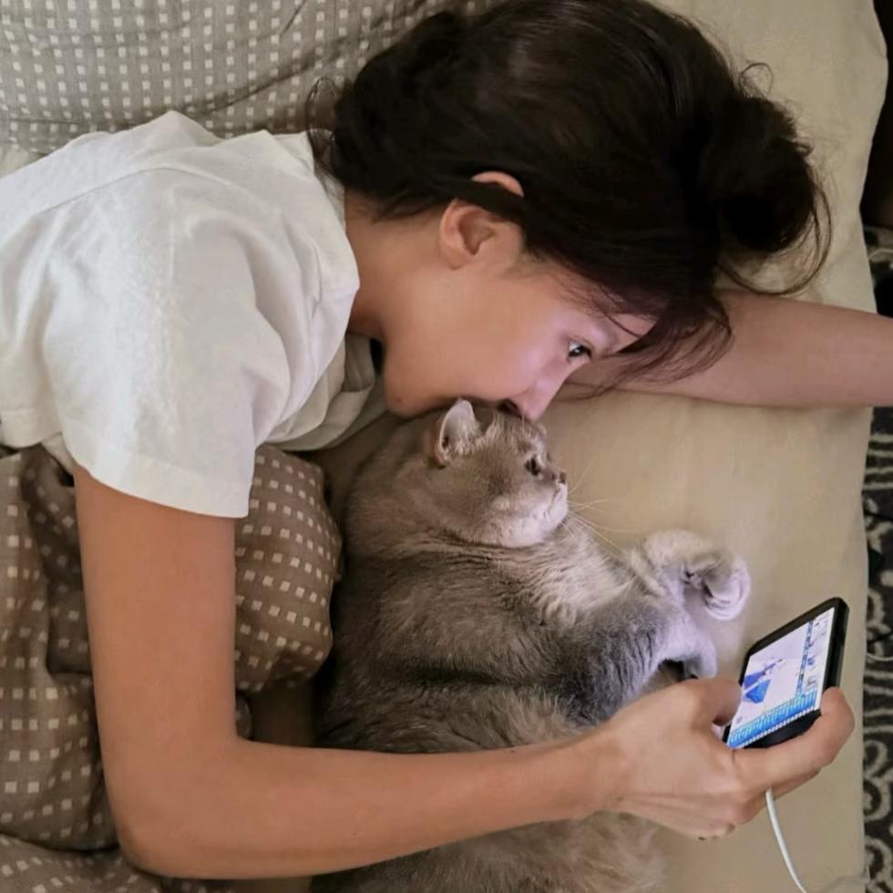 小猫不吃鱼