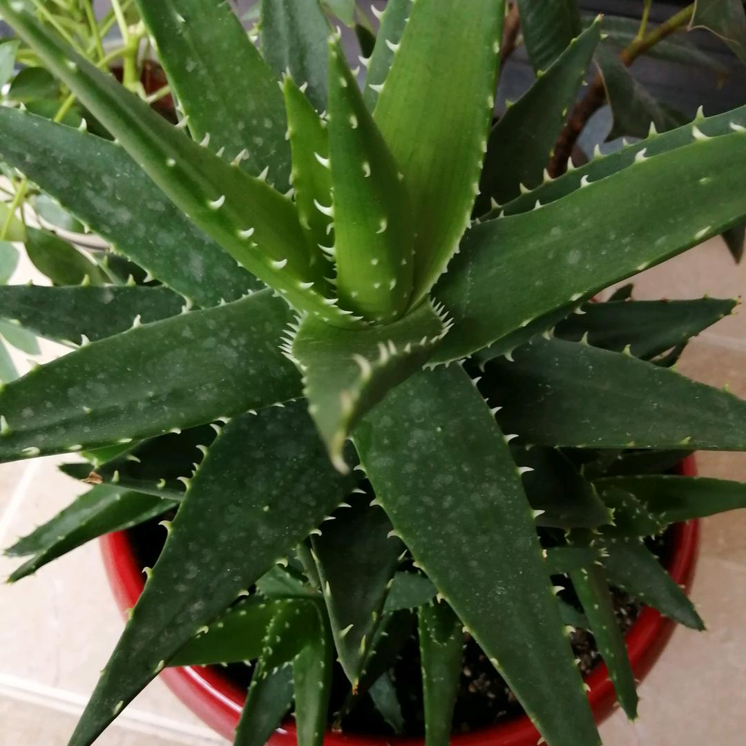 谁懂我