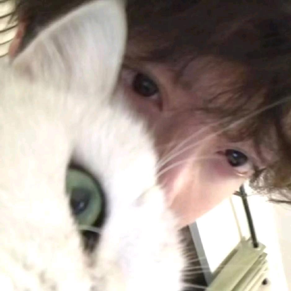 好久不见˙Ⱉ˙ฅ