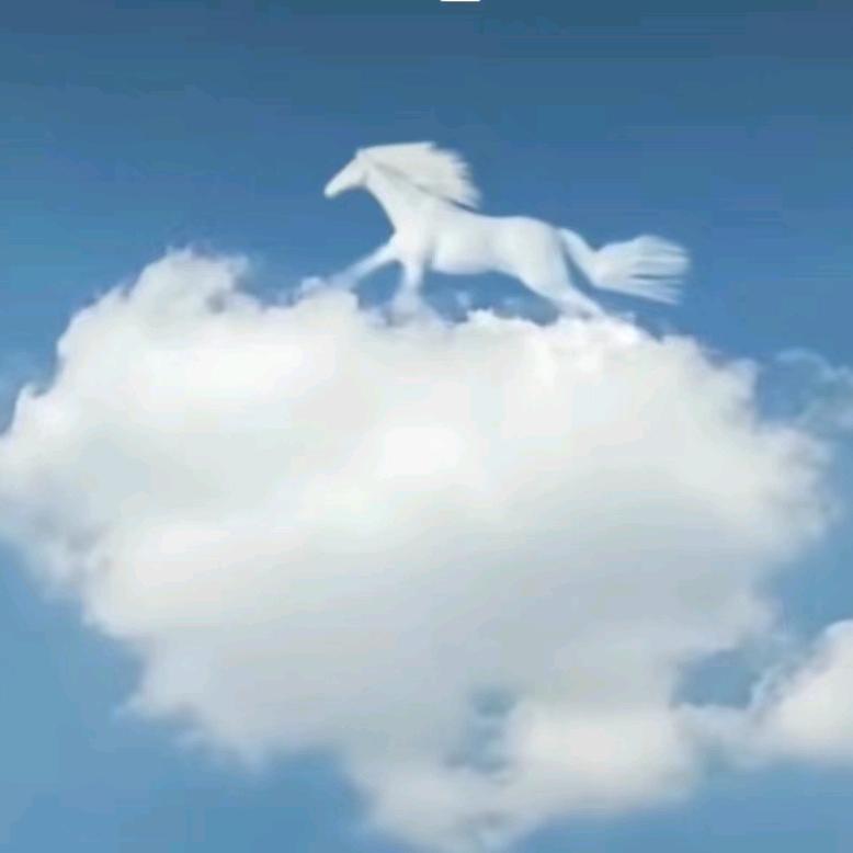落雨无声