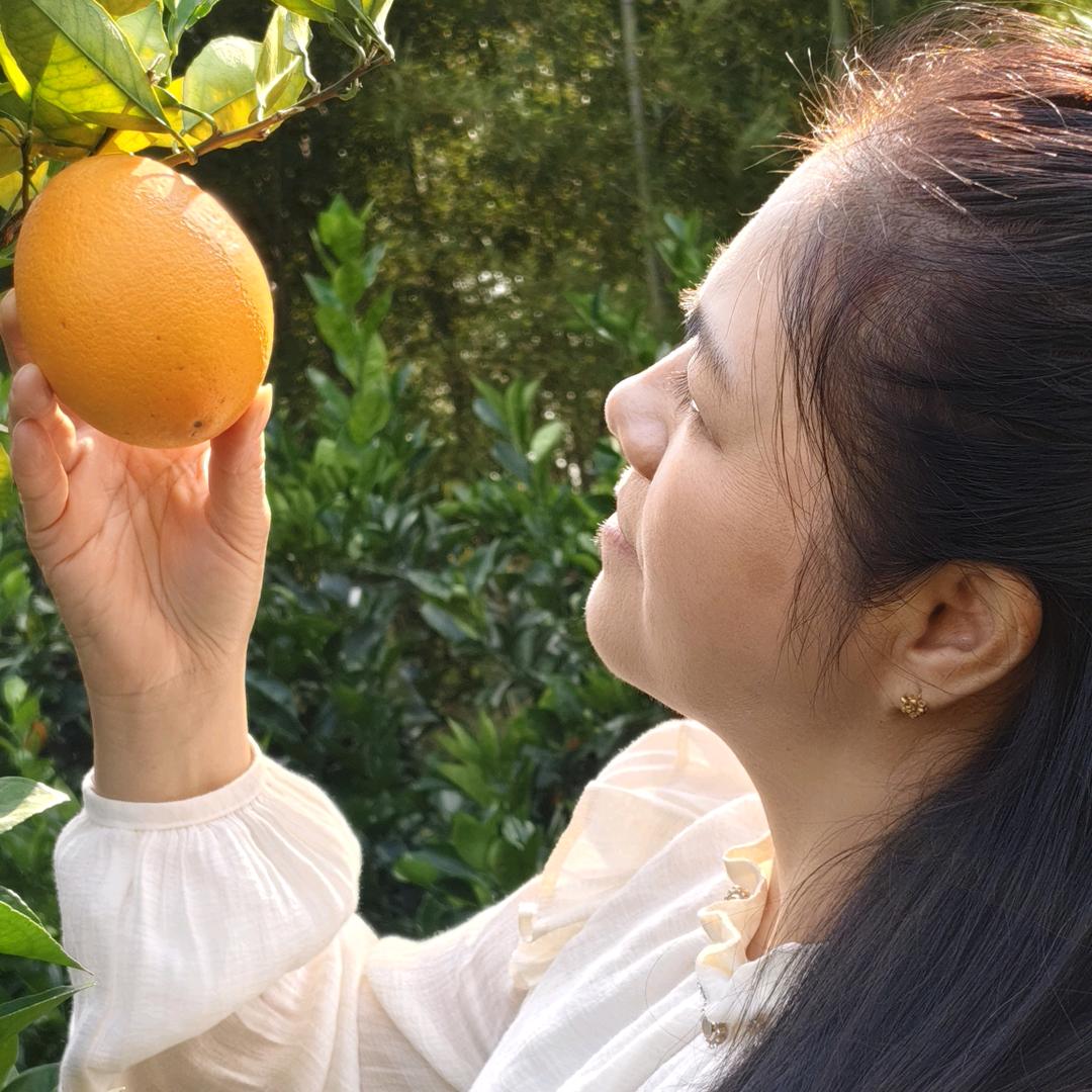 橙心橙意果园66