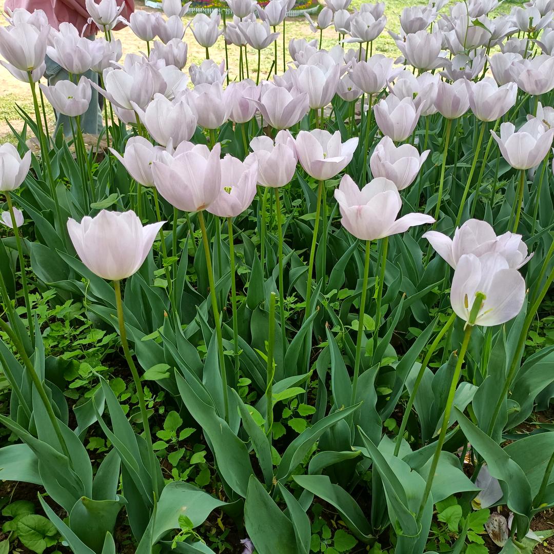 小世界～大舞台