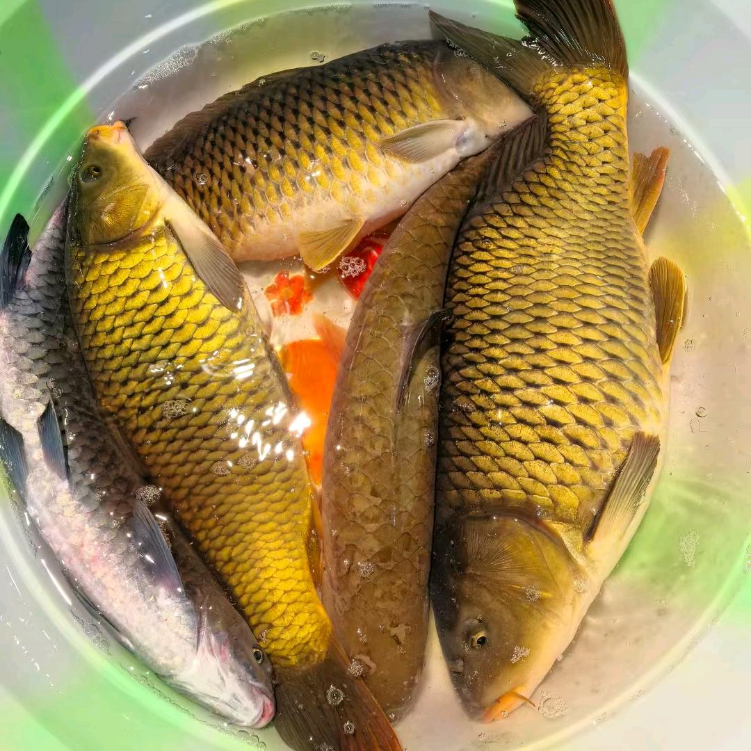 渔🐟夫