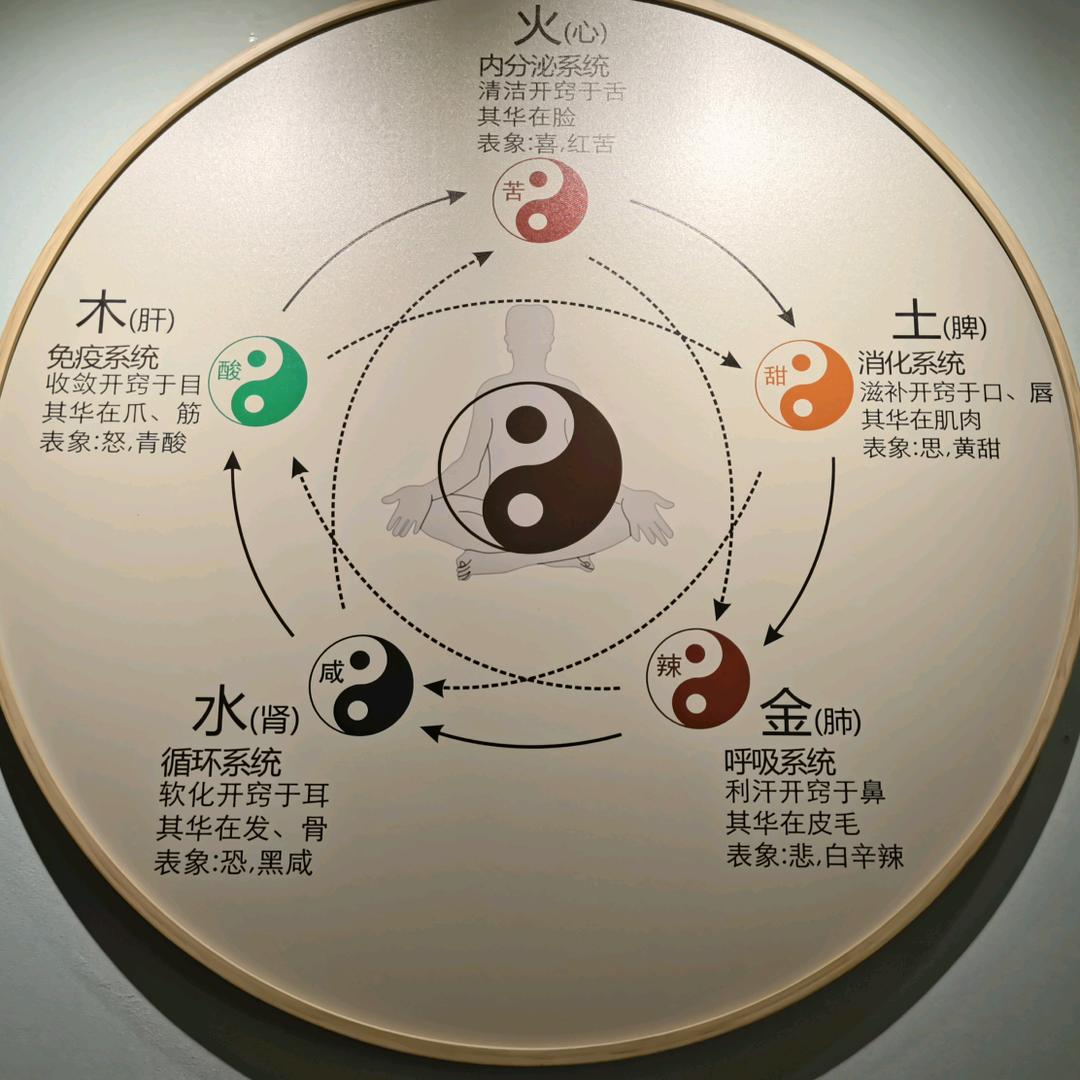 新中翳养生
