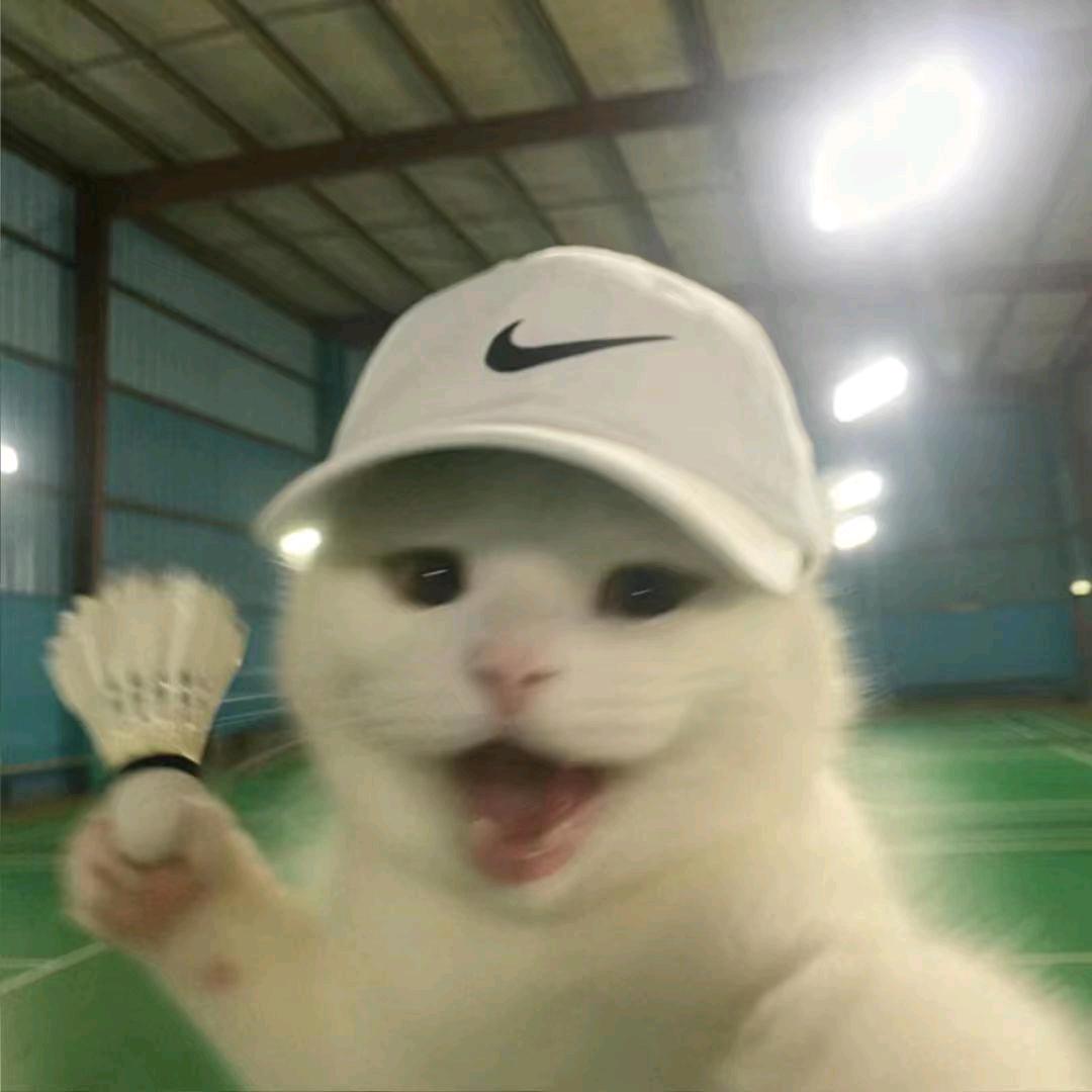 猿气满满的Super小狗~