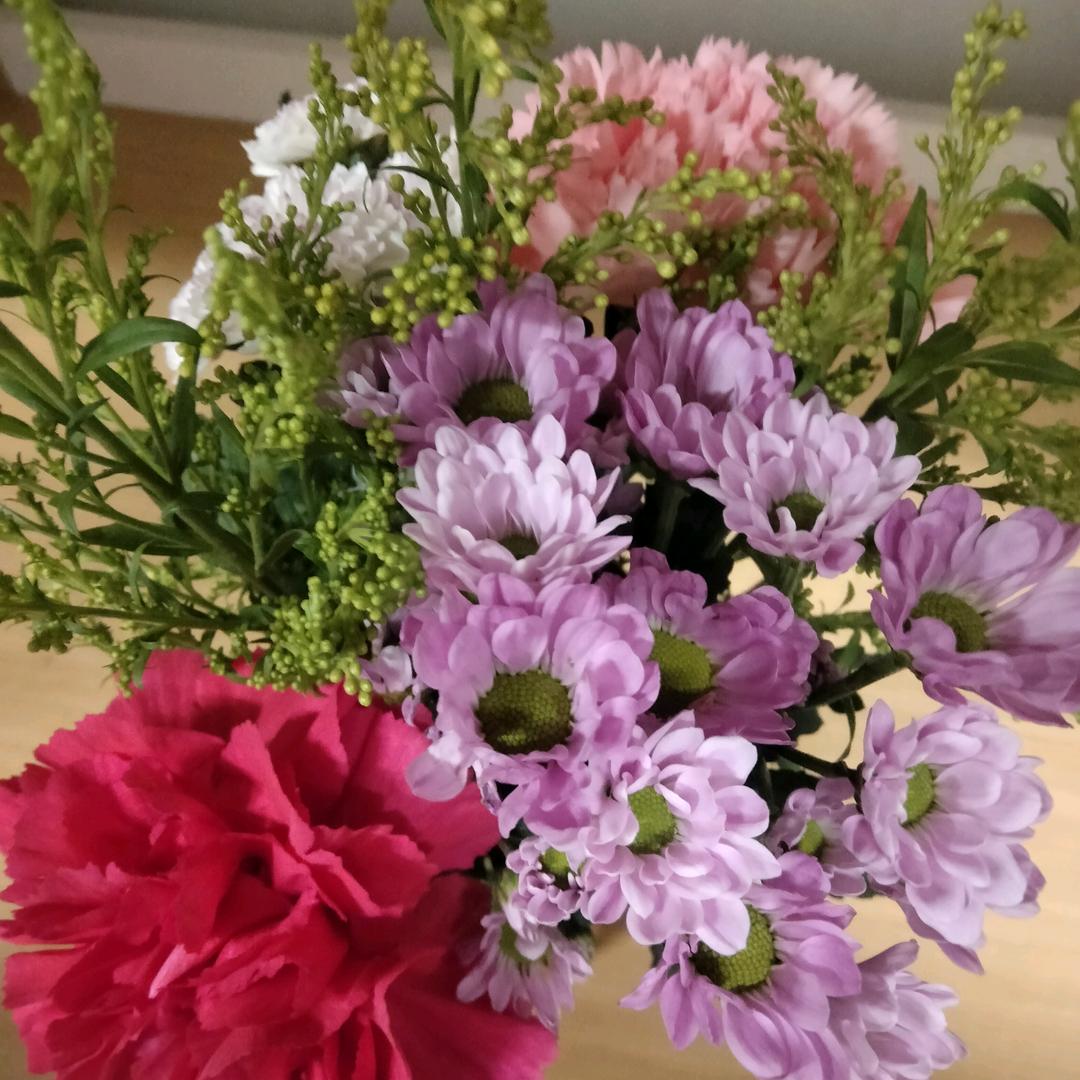 ゜雨❅萌强ོ系小可爱ꦿ༊