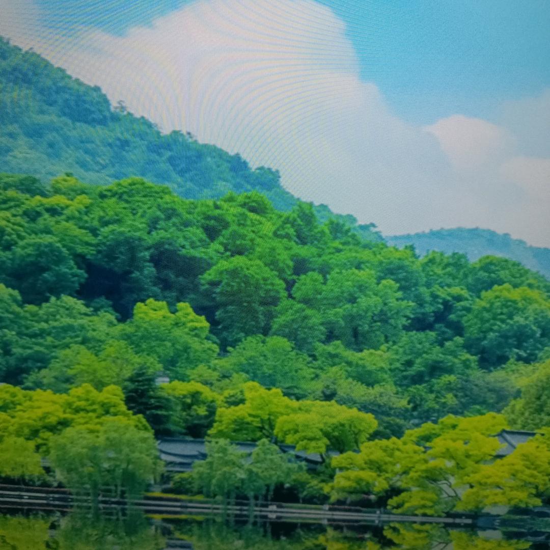 柚子@