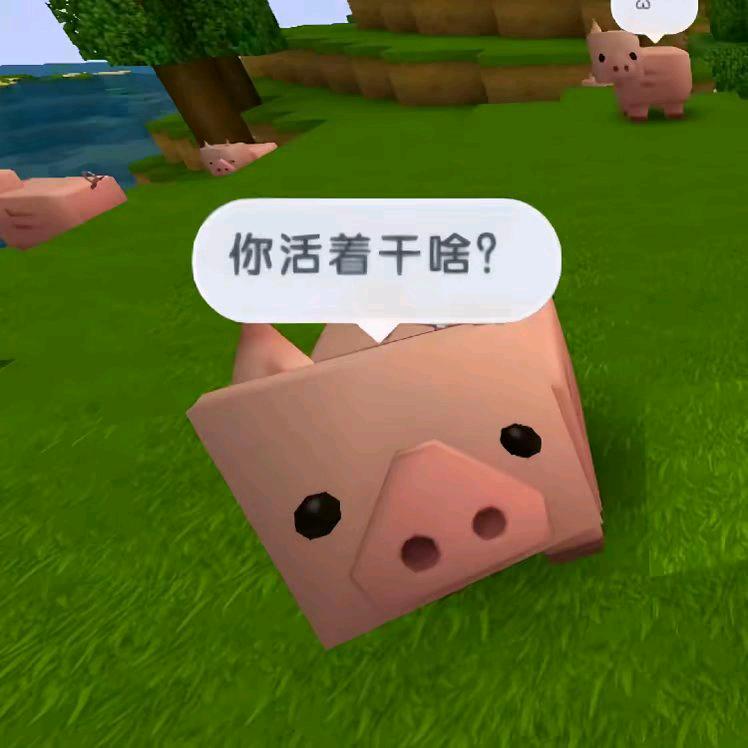 平安喜乐