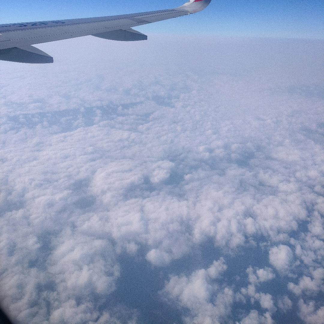 你的世界我来过