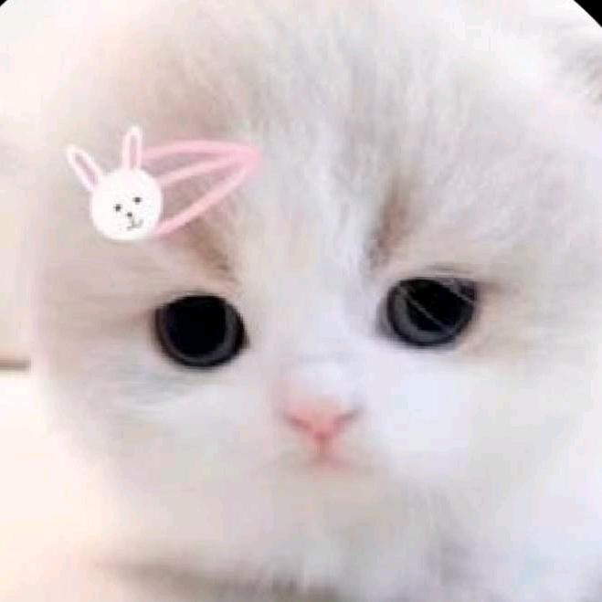LY
