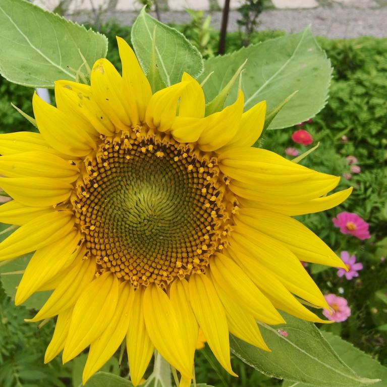 ᭄ 余生᭄随ꦿ💞