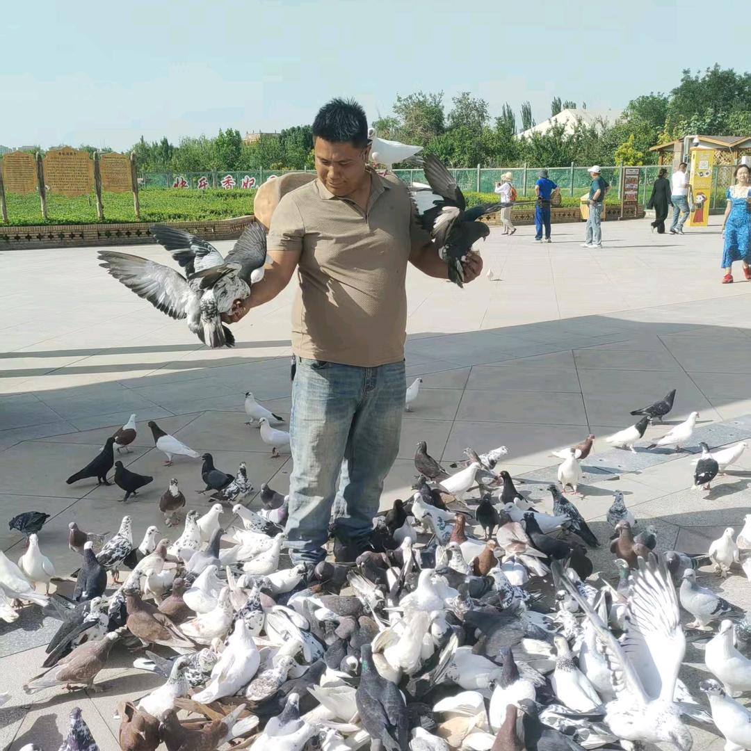 胖哥喜欢养 🕊 🐕 🐕‍🦺