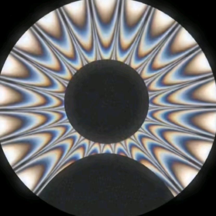 我的十七不爱我