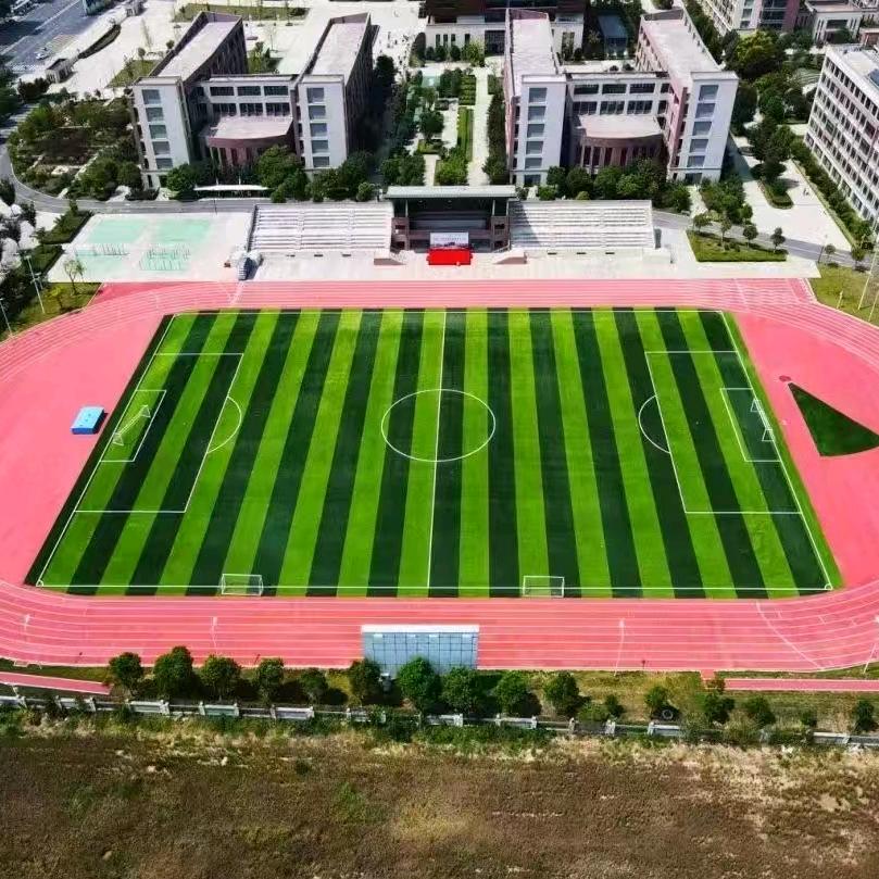 盛立体育塑胶跑道足球场人造草坪塑胶球场材