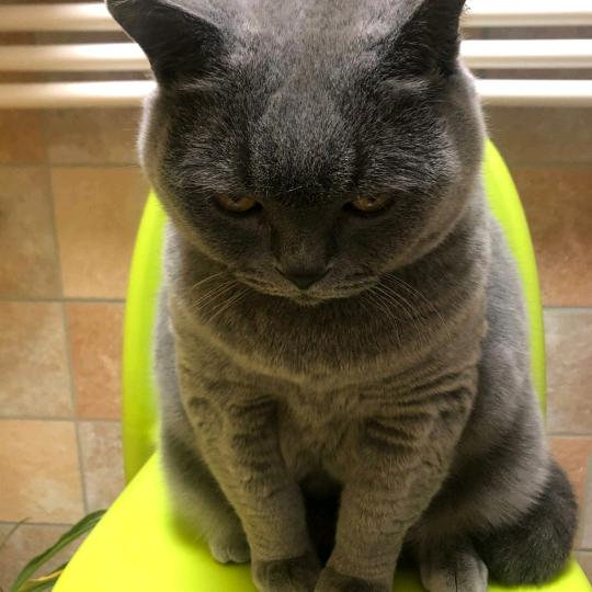 白云千载空悠悠